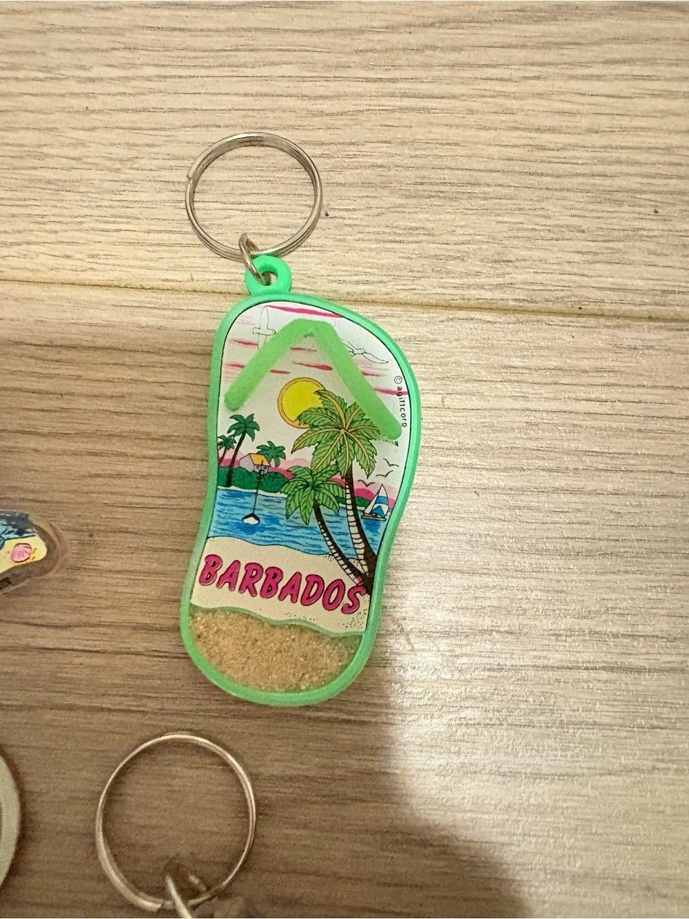 Souvenir Keychain Set - Barbados & Antigua - Multicolor